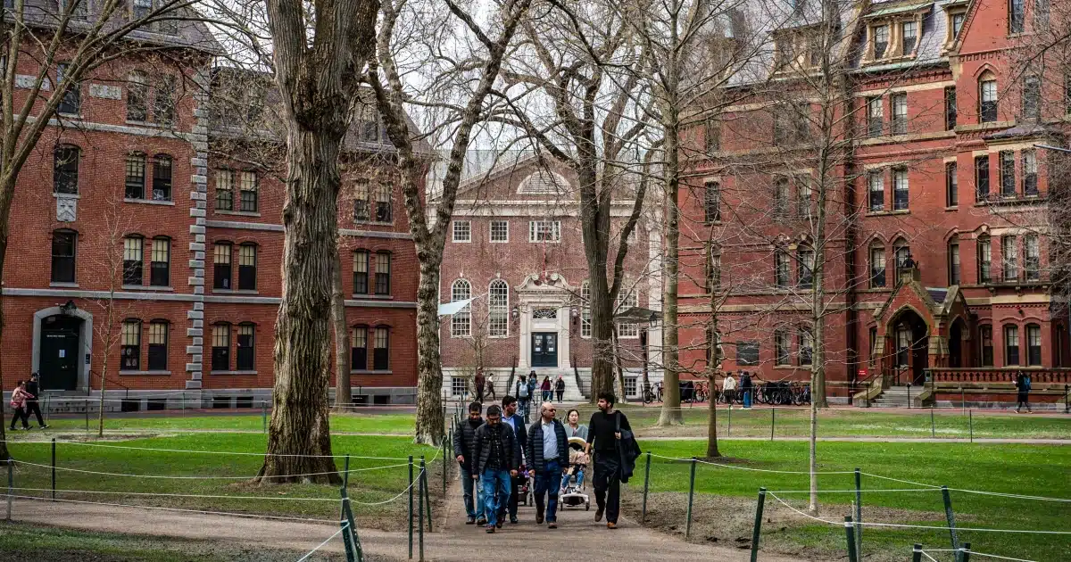 Harvard